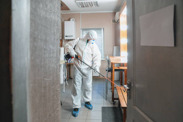 Best Mold Remediation for Healthcare Facilities  in Ringgold, GA