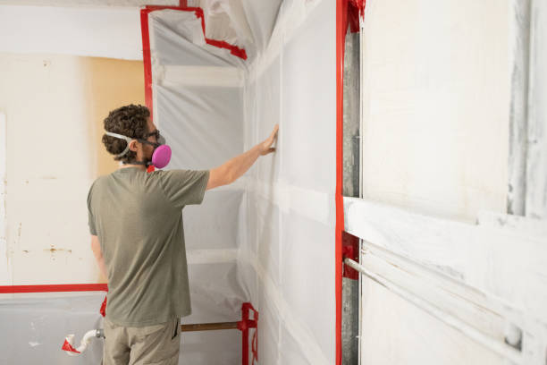 Best Mold-Related Health Consultation  in Ringgold, GA