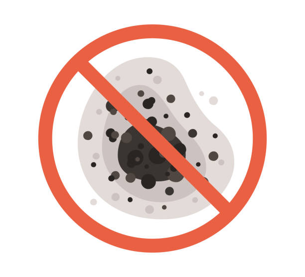 Best Biohazard Mold Removal  in Ringgold, GA
