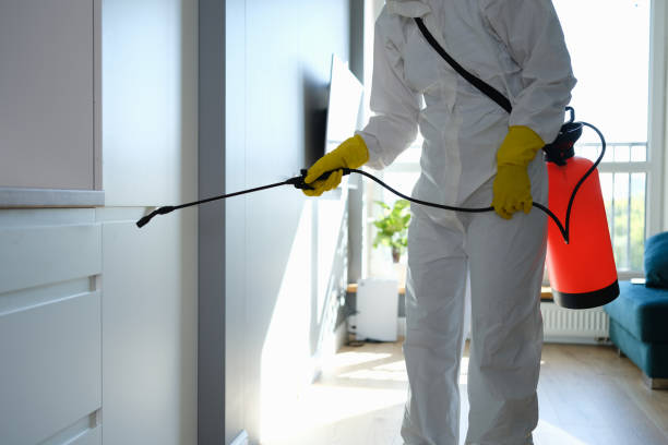 Biohazard Mold Removal in Ringgold, GA
