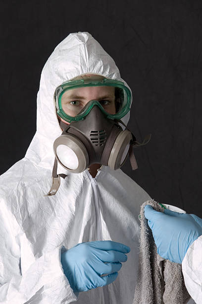 Best Asbestos and Lead Testing During Mold Inspection  in Ringgold, GA
