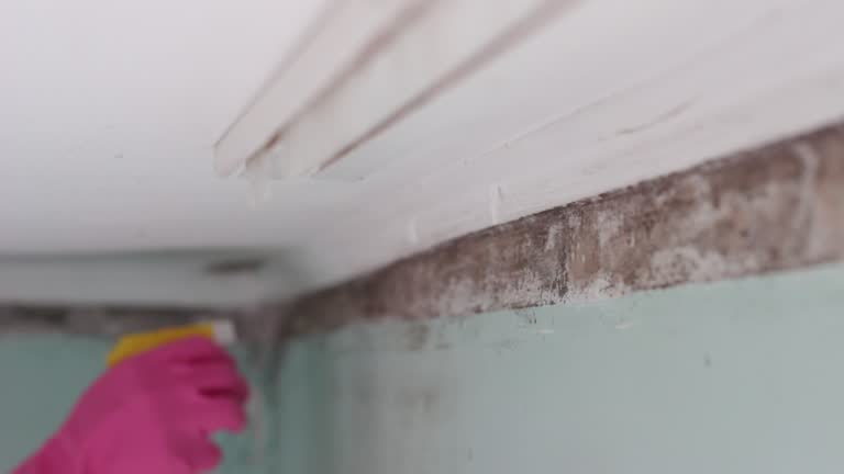 Best Indoor Air Quality Assessment  in Ringgold, GA